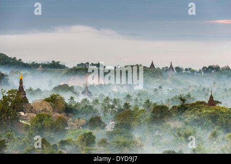 Pagode e templi circondati da alberi, nella nebbia, Mrauk U, Sittwe distretto, Stato di Rakhine, Myanmar Foto Stock