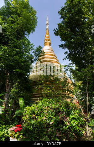 Stupa dorato nel distretto del tempio di Wat Phra Kaeo, Wat Phra Kaew, Chiang Rai, provincia di Chiang Rai, la Thailandia del Nord Foto Stock