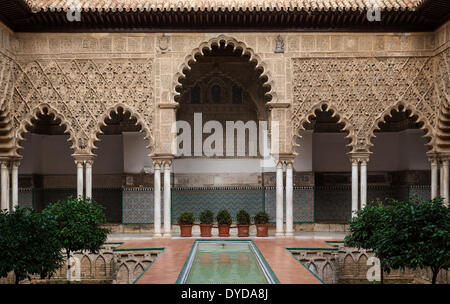 Cortile delle fanciulle, Patio de las Doncellas, Alcazar, provincia di Siviglia, in Andalusia, Spagna Foto Stock