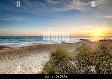 Tramonto su dune di sabbia a testa Hengistbury spiaggia vicino a Bournemouth in Dorset Foto Stock