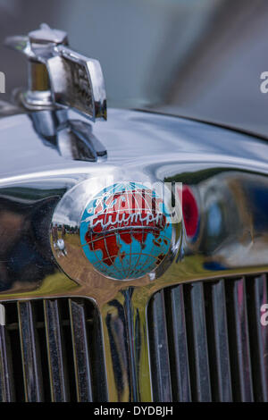 Radiatore badge su una vecchia auto Triumph. Foto Stock