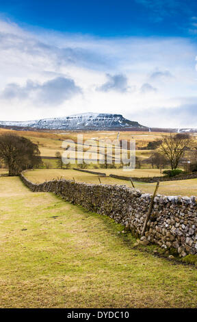 Pen-y-Ghent visto attraverso i terreni agricoli. Foto Stock
