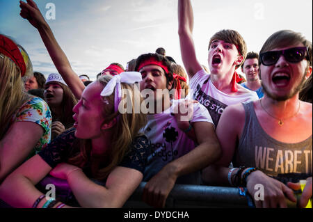 Un energico pubblico al Festival Brownstock in Essex. Foto Stock