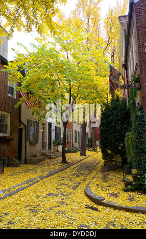 Una strada storica di Philadelphia coperto di foglie di autunno. Foto Stock