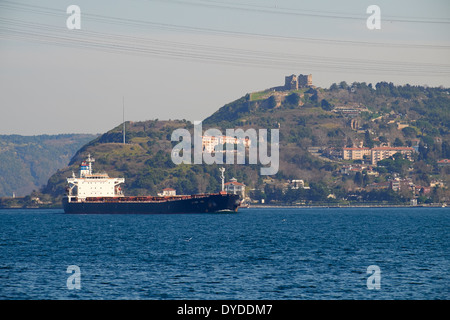 Contenitore grande nave sul Bosforo, Istanbul, Turchia. Foto Stock