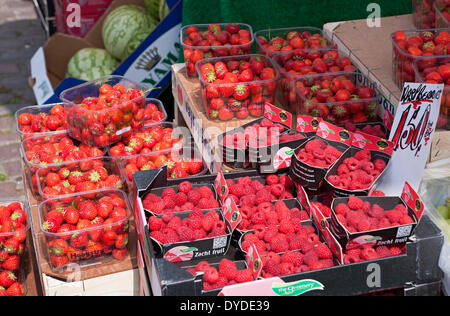 Fragole e lamponi per la vendita su un mercato in stallo. Foto Stock