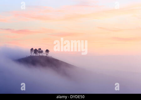Colmer's Hill nel Dorset in una nebbiosa mattina autunnale. Foto Stock