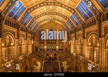 La sala centrale nel Museo di Storia Naturale di Londra. Foto Stock