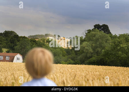 Un piccolo ragazzo orologi la mietitrebbia attraverso un campo di grano in agosto. Foto Stock