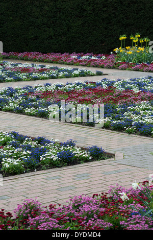 Biancheria da letto colorata di piante in un giardino formale ad RHS Wisley Gardens, Surrey, Inghilterra Foto Stock