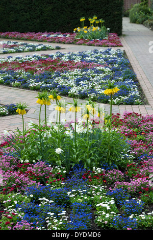 Biancheria da letto colorata di piante in un giardino formale ad RHS Wisley Gardens, Surrey, Inghilterra Foto Stock