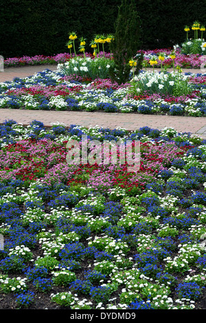 Biancheria da letto colorata di piante in un giardino formale ad RHS Wisley Gardens, Surrey, Inghilterra Foto Stock