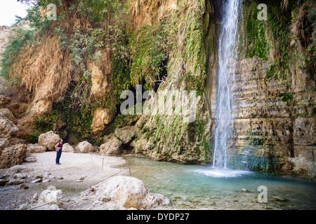 Cascata a Wadi David, Riserva Naturale di Ein Gedi, il Deserto della Giudea, Israele. Foto Stock