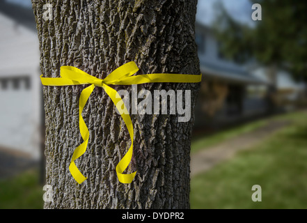 Nastro giallo legato attorno albero nel giardino di casa Foto Stock