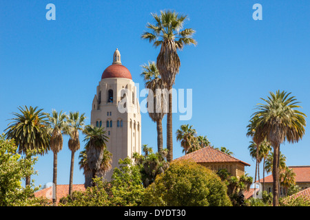 Torre di Hoover bloccata tra le palme e tetti rossi su Stanford University campus in California Foto Stock