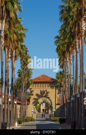 Ombre di palme che gettano ombre su archi in entrata drammatica a Quad su Stanford University campus Foto Stock