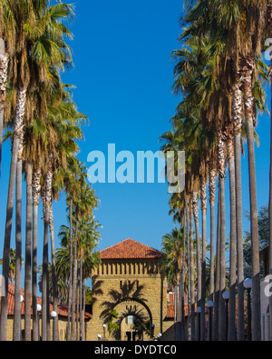 Ombre di palme che gettano ombre su archi che conducono a Quad su Stanford University campus Foto Stock