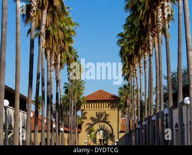 Ombre di palme che gettano ombre su archi che conducono a Quad su Stanford University campus Foto Stock