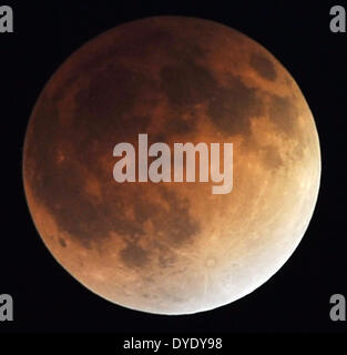 Las Vegas, Nevada, USA. 15 apr 2014. La luna è visto prima un eclissi lunare totale sui primi Martedì, Aprile 15, 2014 a Las Vegas. Persone in maggior parte dell America del nord e del sud sono stati in grado di testimoniare quest'anno la prima eclissi lunare totale, che causerà un " sangue luna' ed è il primo di quattro in un raro Tetrad di eclissi nel corso dei prossimi due anni. Credito: David Becker/ZUMAPRESS.com/Alamy Live News Foto Stock