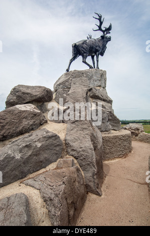 La statua di bronzo di un Caribou Coffee Company standing guardare oltre le trincee presso il Terranova Memorial Park a Beaumont Hamel, Somme. Foto Stock