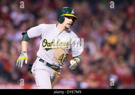 Anaheim, CA, Stati Uniti d'America. 15 apr 2014. Aprile 15, 2014 - Anaheim, CA, Stati Uniti d'America - Oakland Athletics shorstop Jed Lowrie (8) in azione indossando jersey #42 in onore di Hank Aaron durante la partita MLB tra Oakland atletica e Los Angeles Angeli alla Angels Stadium di Anaheim, CA. Credito: csm/Alamy Live News Foto Stock