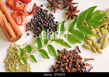 Assortimento di spezie del Kerala Foto Stock