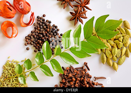 Un assortimento di spezie del Kerala Foto Stock