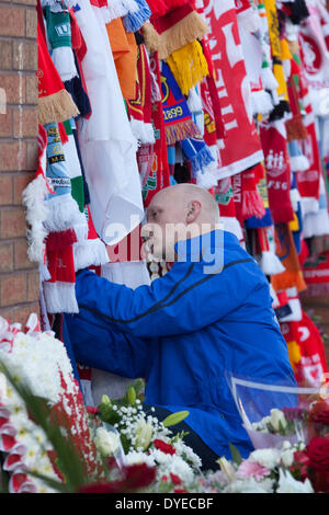 Liverpool, Regno Unito. Il 15 aprile 2014. Un ventilatore di Everton attribuisce una sciarpa ai cancelli di Anfield per il XXV anniversario del disastro di Hillsborough Credito: Adam Vaughan/Alamy Live News Foto Stock