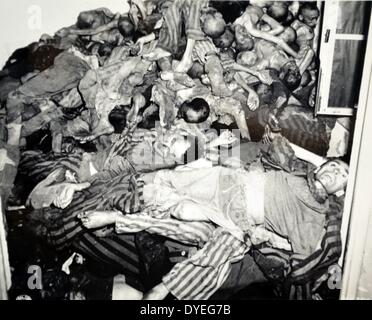 Corpi di ebrei uccisi a Dachau Foto Stock