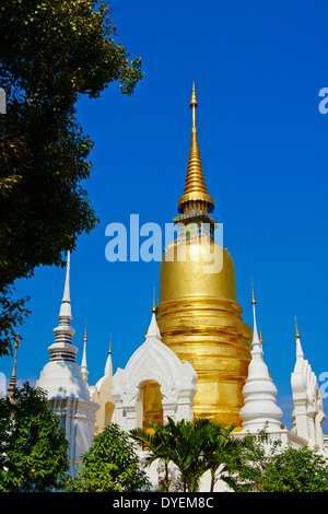 Thailandia Chiang Mai, Wat Suan Dok Foto Stock