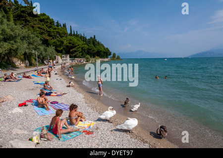 La spiaggia a Sirmione sul Lago di Garda, Italia Foto Stock