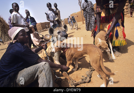 La iena pet è parte del circus animista truppa. Animisti credere che il proprietario riceve alimentazione dall'animale. Stato di Kano, Nigeria Foto Stock