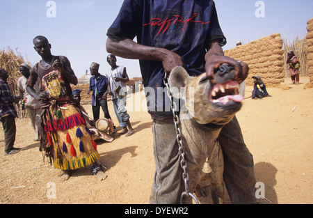 La iena pet è parte del circus animista truppa. Animisti credere che il proprietario riceve alimentazione dall'animale. Stato di Kano, Nigeria Foto Stock
