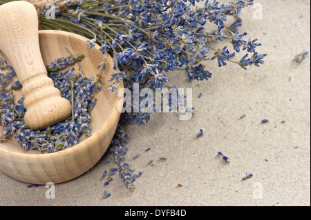 Mortaio di legno secco con fiori di lavanda su grungy sfondo della carta Foto Stock