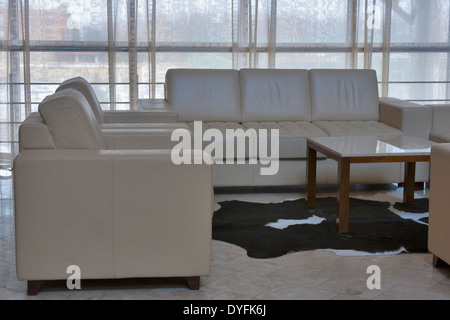 Un soggiorno decorato con un divano in velluto verde e. un tappeto di  cowhide Foto stock - Alamy