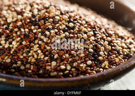 Organico grezzo colorato la quinoa in una ciotola Foto Stock