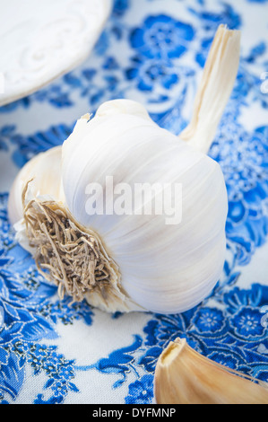 Una vista ravvicinata di un bulbo di aglio sul tessuto blu Foto Stock