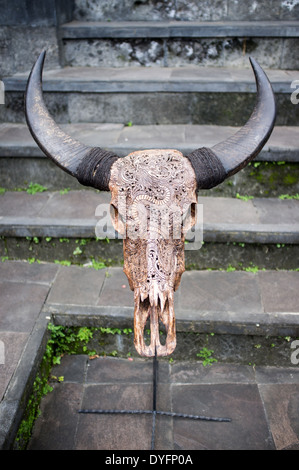 Bufalo d'acqua il cranio con una libellula scolpiti design Foto Stock