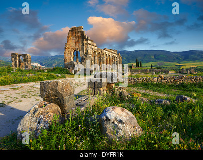 Esterno della Basilica Romana a Volubilis sito archeologico. Il Marocco Foto Stock