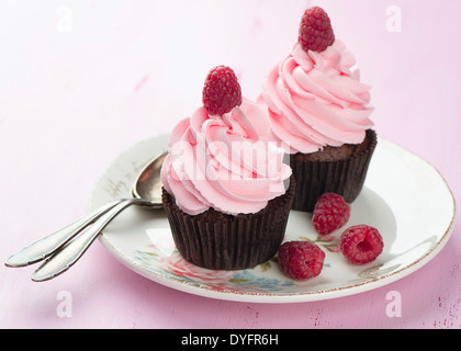 Lampone tortini di cioccolato Foto Stock