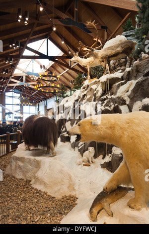 Stati Uniti d'America, Nebraska, Omaha, animali impagliati, display Cabela's Sporting Goods Foto Stock