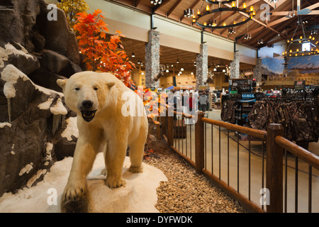 Stati Uniti d'America, Nebraska, Omaha, animali impagliati, display Cabela's Sporting Goods Foto Stock