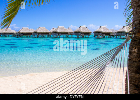 Corda amaca attaccata al palm tree su una spiaggia con bungalow Overwater dalle acque turchesi di Moorea Polinesia Francese Foto Stock