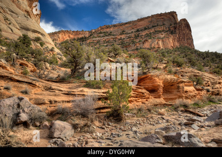 La bocca di Devil's canyon in Colorado di cresta nera Canyon deserto immediatamente ad ovest del Colorado National Monument. Foto Stock