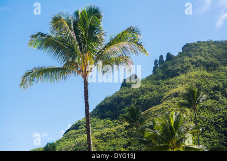 Le formazioni rocciose in montagna dietro Haena, Kauai, Hawaii Foto Stock