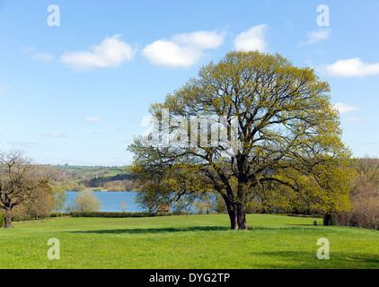 Lago di Blagdon Somerset in Chew Valley in corrispondenza del bordo di Mendip Hills a sud di Bristol fornisce acqua potabile ma anche utilizzato per Foto Stock