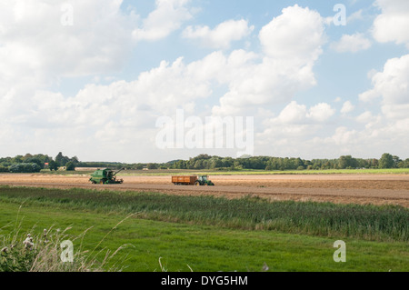 Immagine di panorama di terra agricola con la macchina la raccolta in corso. Foto Stock