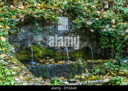 Una fontana in una foresta con acqua naturale, viaggio da Sinanitza a Kresna, Pirin montagna, Balcani, Bulgaria Foto Stock