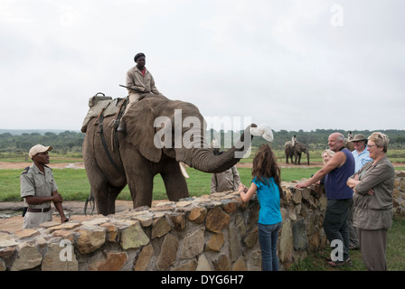 Rangers seduta sul retro degli Elefanti Elefante e prende hat dalla testa di bambine Foto Stock