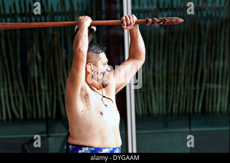 Guerrieri Maori eseguire la Haka ancestrale tradizionale grido di guerra la danza Marzo 28, 2014 a Auckland, Nuova Zelanda. Foto Stock